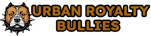 Urban Royalty Bullies